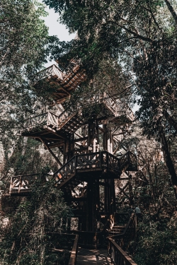 Fantastic Treehouse - The Treehouse I Imagined