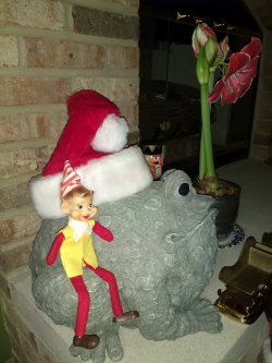 Elf sitting on frog.